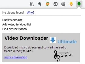 video-downloader-professional